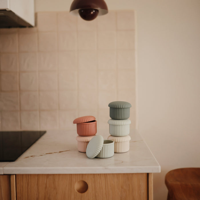 Silicone Baby Food Containers - Nature Baby Outfitter