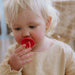 FRIGG Natural Rubber Pacifier 4-Pack - Nature Baby Outfitter
