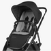 UPPAbaby New Infant SnugSeat - Nature Baby Outfitter