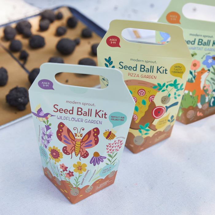 DIY Seed Ball Kit: Wildflower Garden