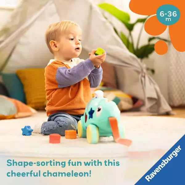 Play+ Color & Shape Sorter: Chameleon