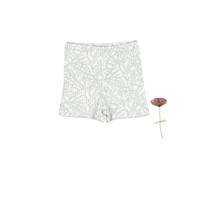 The Printed Short  - Willa