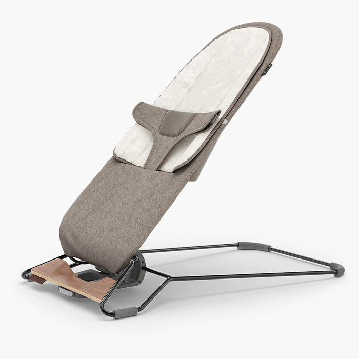 Mira 2-in-1 Bouncer & Seat