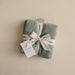 Organic Cotton Muslin Cloths 3-Pack - Nature Baby Outfitter
