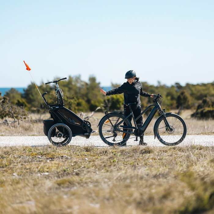 Thule Chariot 2 Bike Holder