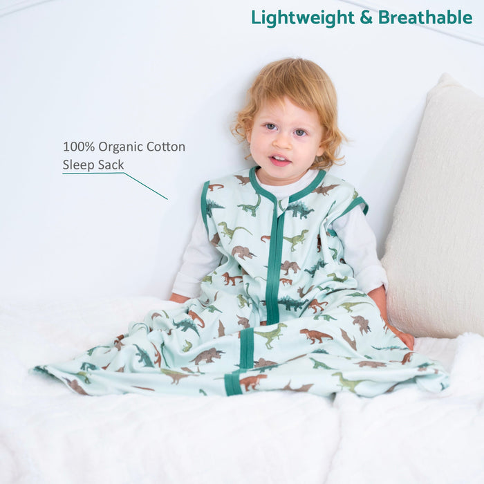 Have A T-rexcellent Day Sleep Sack