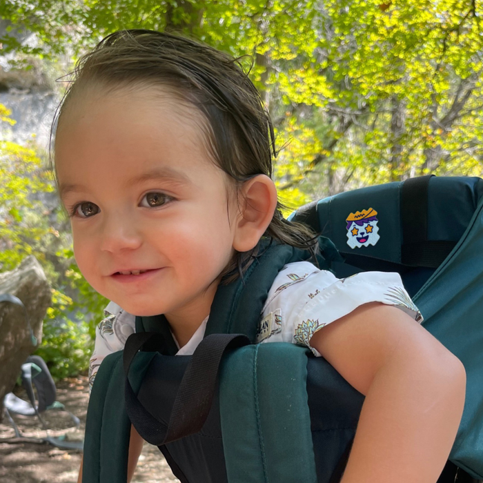 Mosquito & Insect Repellent Stickers