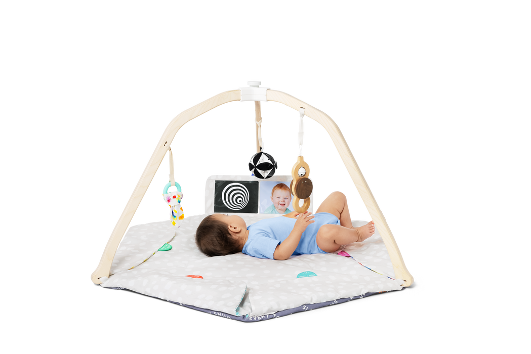 The Play Gym - Nature Baby Outfitter