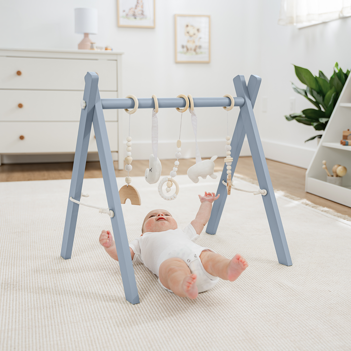 Baby Play Gym in Pacific Blue