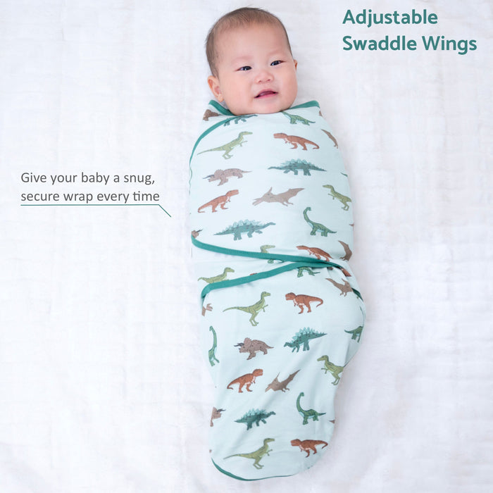 Have A T-rexcellent Day Swaddle Sack