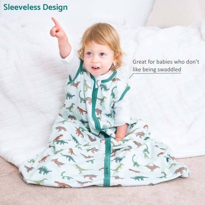 Have A T-rexcellent Day Sleep Sack