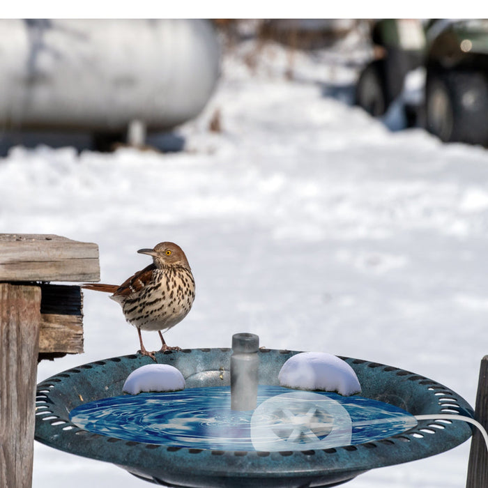 70W Outdoor Bird Bath Heater Winter Deicer with Thermostat, Auto Shutoff & Waterproof Design