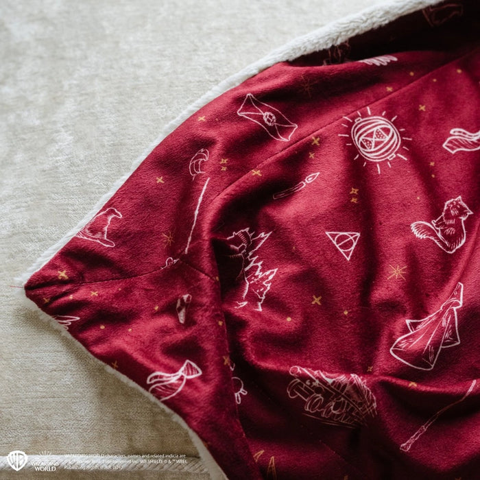 Harry Potter Icons Mini Blanket Minky/Lush