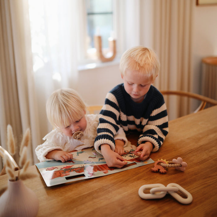 Reusable Dino Sticker Set - Nature Baby Outfitter