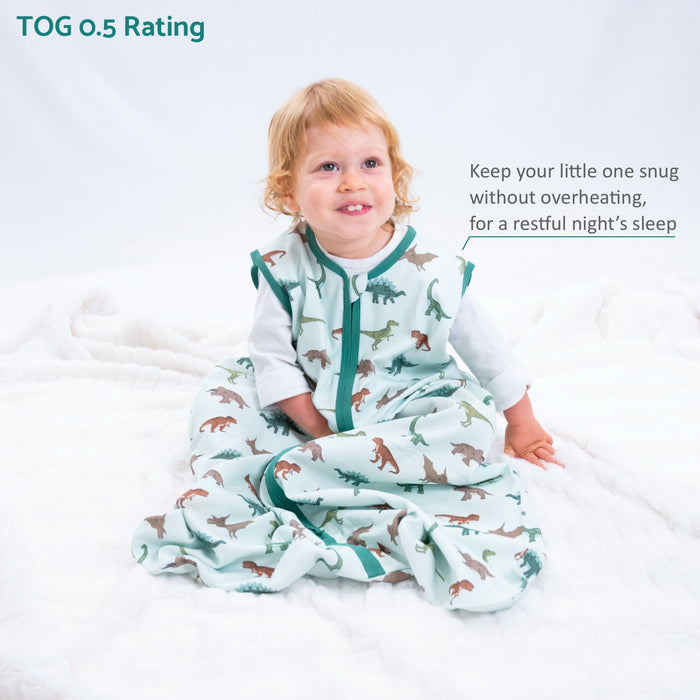 Have A T-rexcellent Day Sleep Sack
