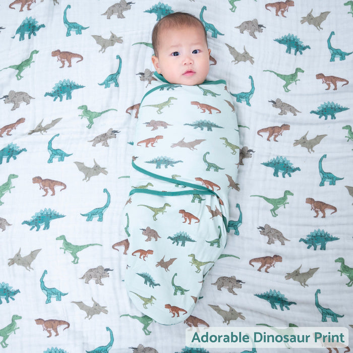 Have A T-rexcellent Day Swaddle Sack