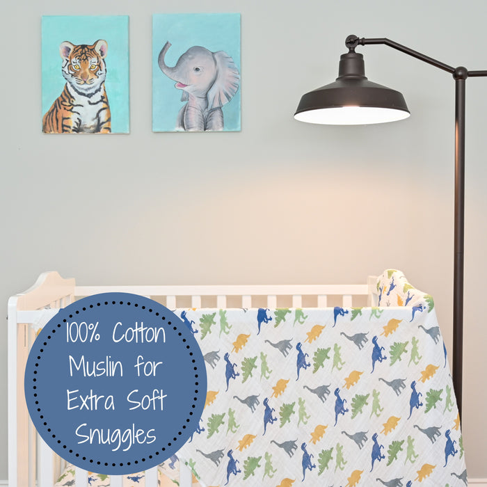Rawr-Some Swaddle Blanket