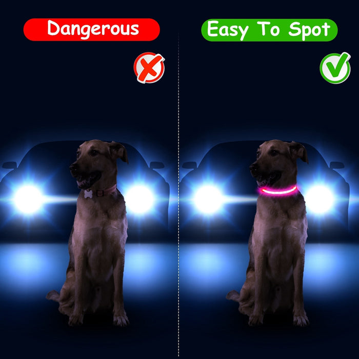 Light Up Dog Collar LED Dog Collar Safety Night Glowing Dog Collar with 9 Light Colors IPX7 Waterproof USB Rechargeable S/M/L