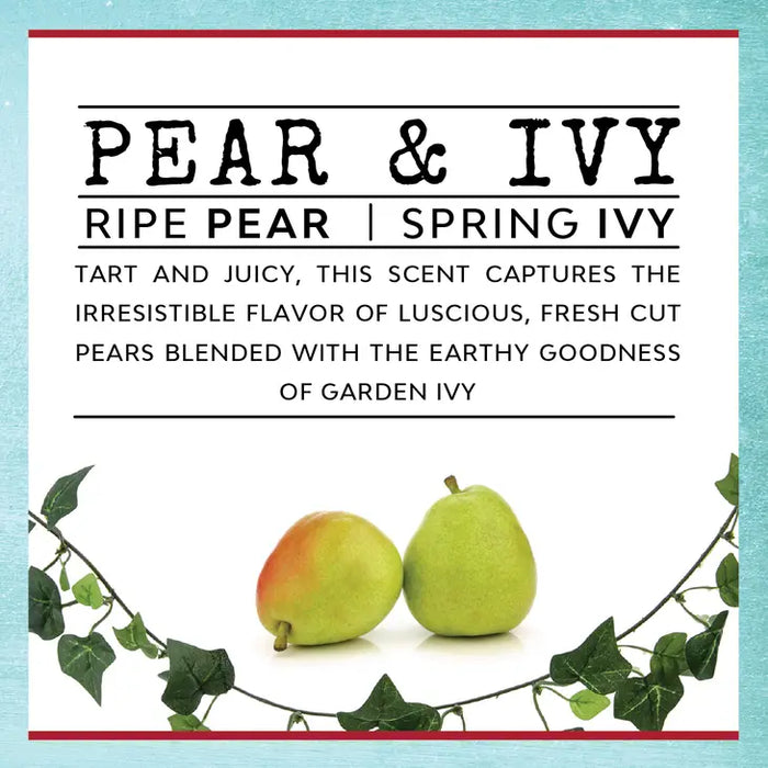 'Don't Make Me Use My Mom Voice' Pear & Ivy Candle