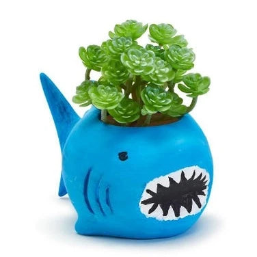 Paint Your Own Sealife Planter