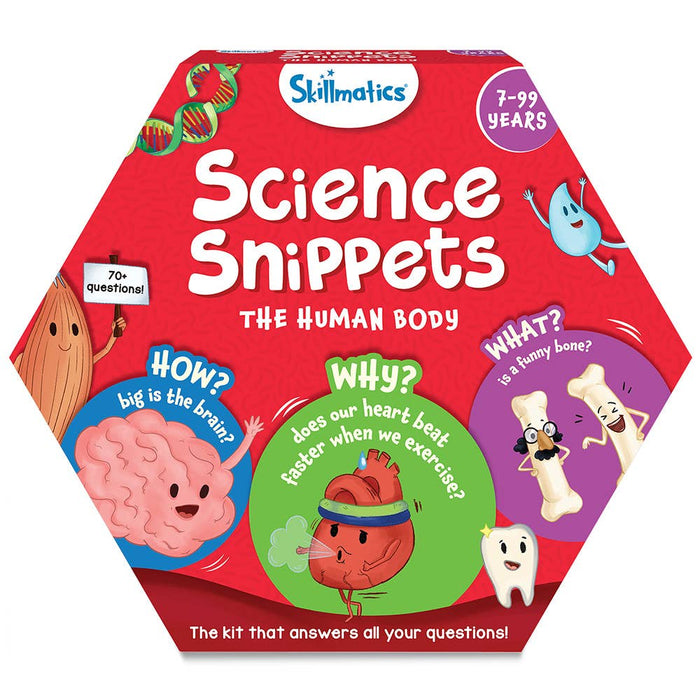 Flash Cards - Science Snippets The Human Body