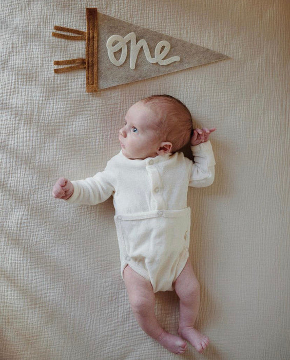 Monthly Milestone Pennant // beige with chestnut, cursive numbers