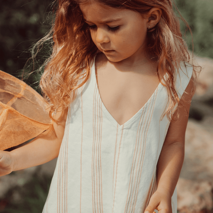 The Denim Dress - Rose Stripe