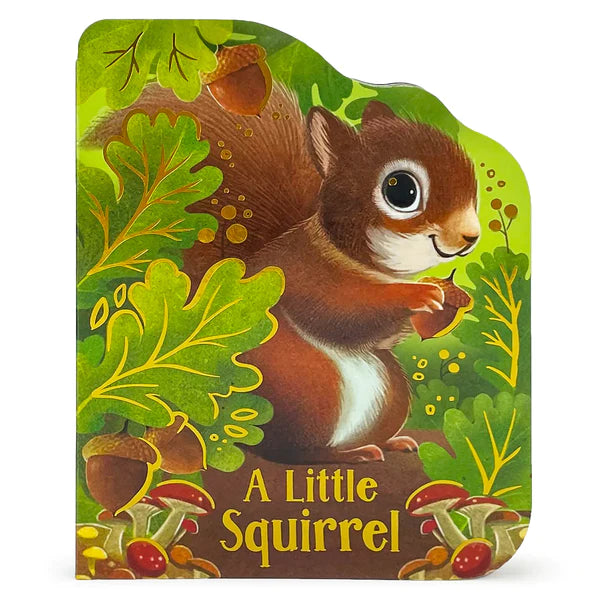 A Little Squirrel Board Book