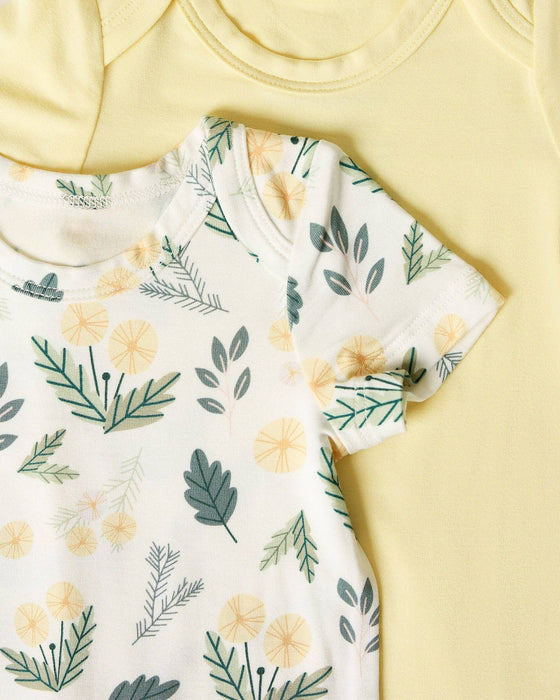 Baby Onesie Two-Pack