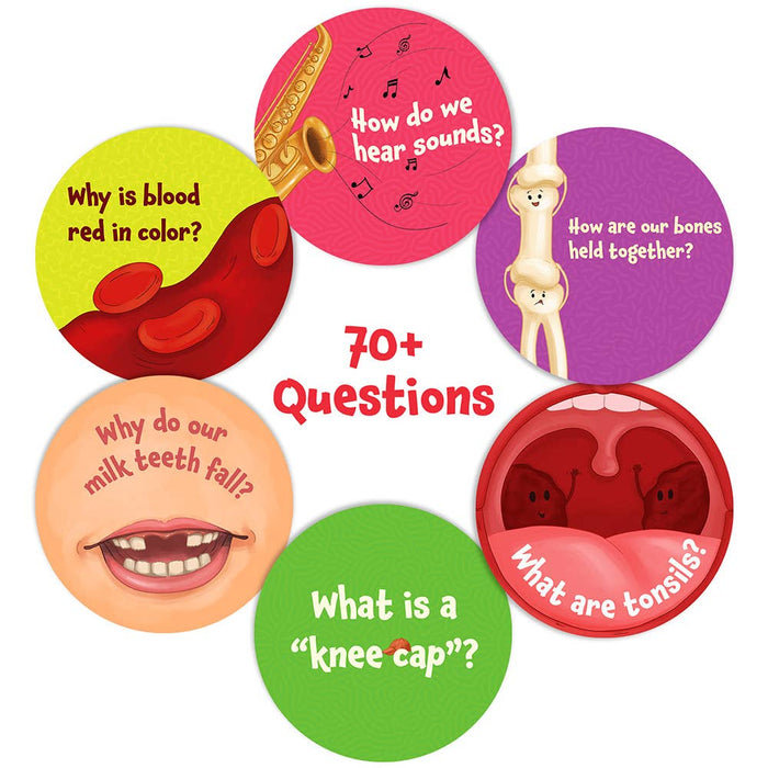 Flash Cards - Science Snippets The Human Body