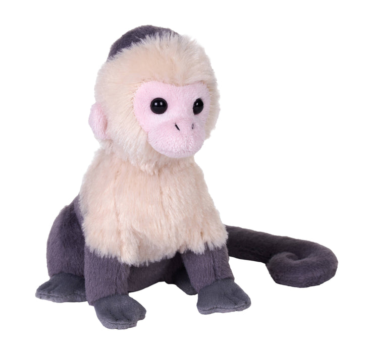 Splendors White Face Capuchin Stuffed Animal 6"