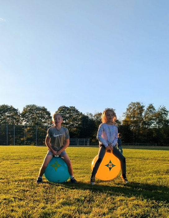 Set of 2 Hop Ball Race Set