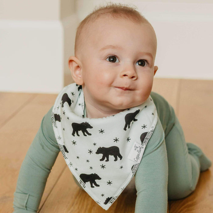 Archer Bandana Bib Set of 4