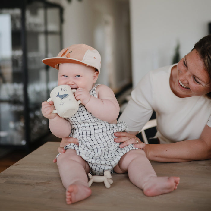 Silicone Training Cup + Straw - Nature Baby Outfitter