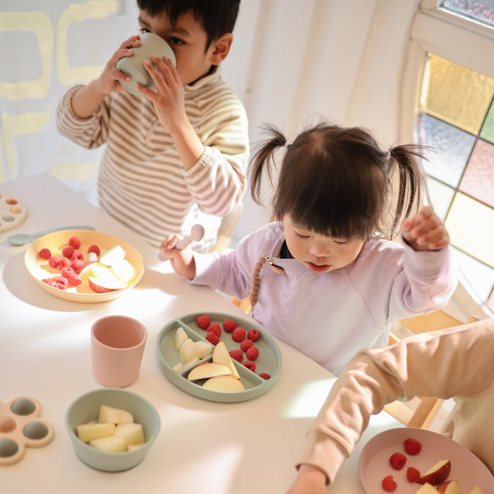 Silicone Suction Plate - Nature Baby Outfitter