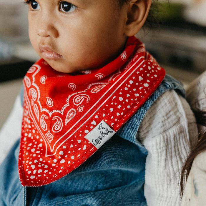 Boone Bandana Bib Set of 4