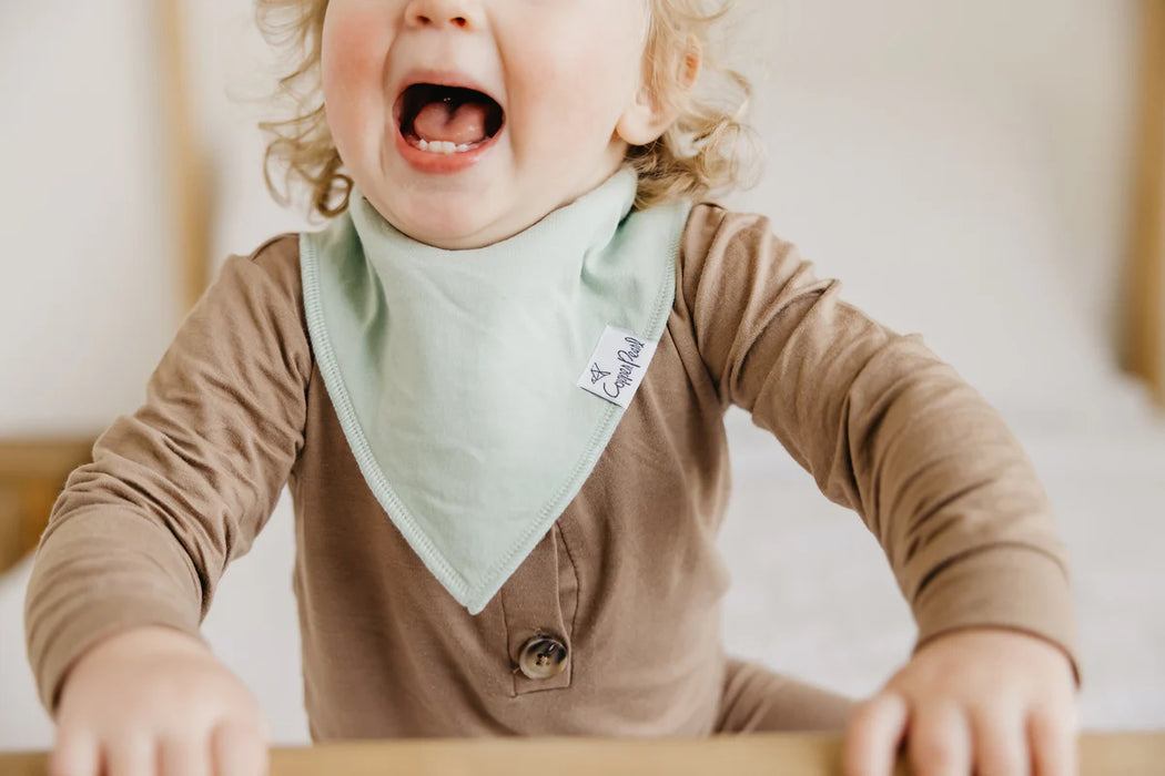 Haven Baby Bandana Bib Set of 4