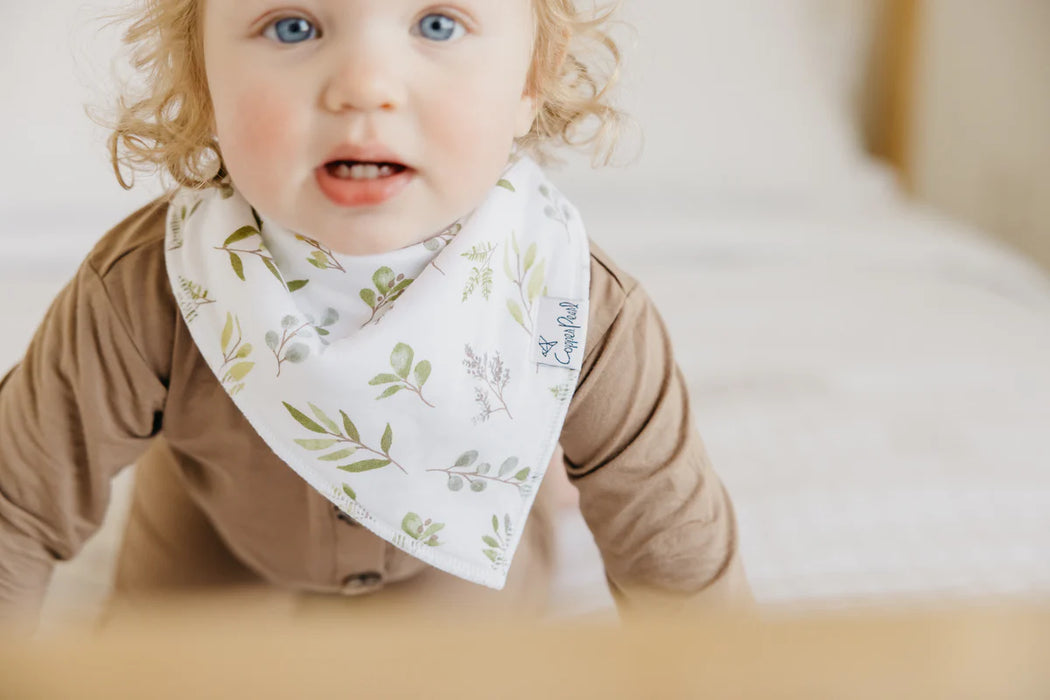 Haven Baby Bandana Bib Set of 4