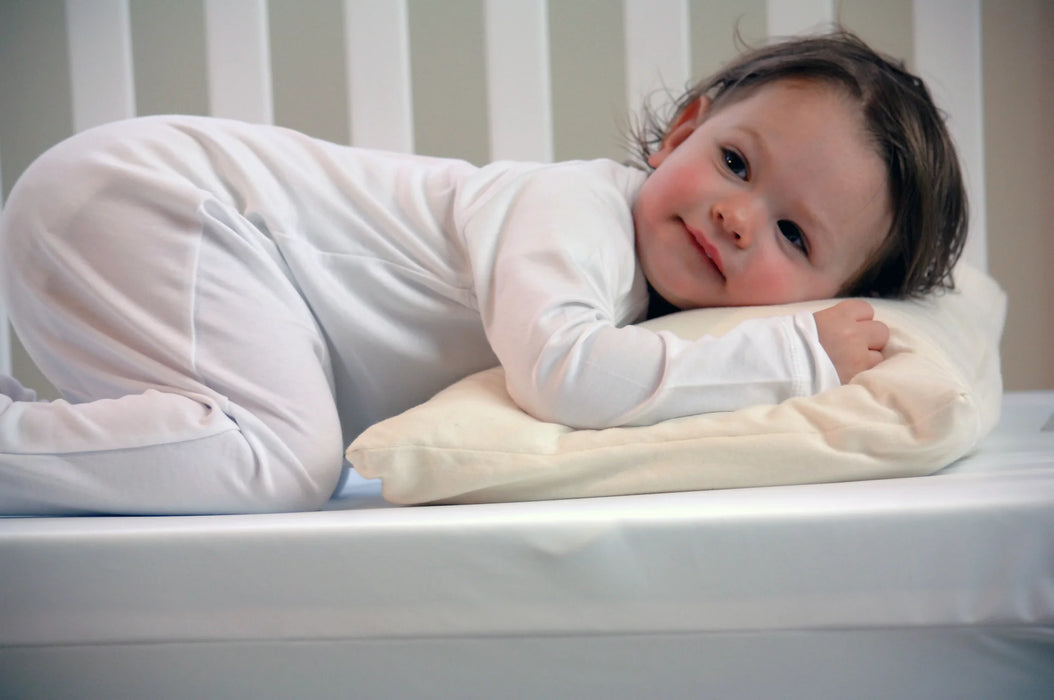 Pure Slumber Toddler Size Bed Pillow w/ 100% Organic Cotton Pillowcase