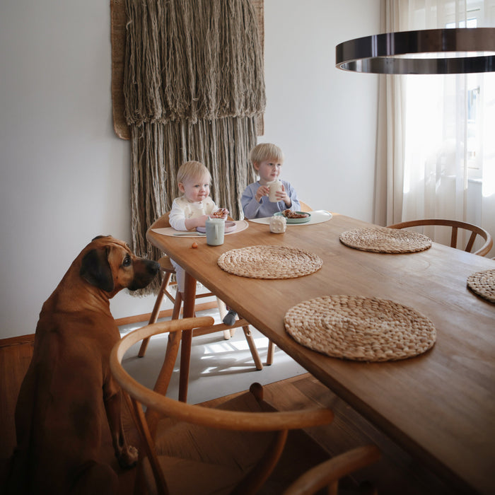 Trainer Sippy Cup - Nature Baby Outfitter