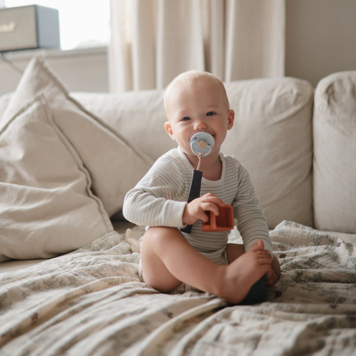 Vehicles Mold Free Bath Play Set - Nature Baby Outfitter