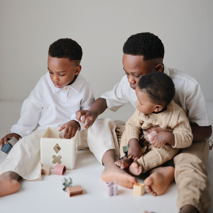 Shape Sorting Box - Nature Baby Outfitter