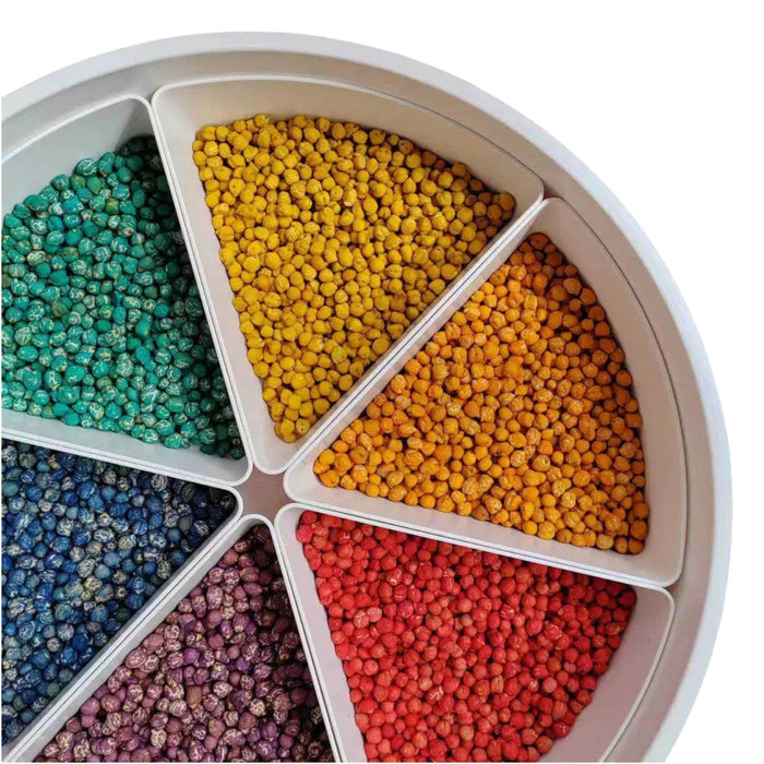Sensory Play Tray with Removable Compartments and Lid
