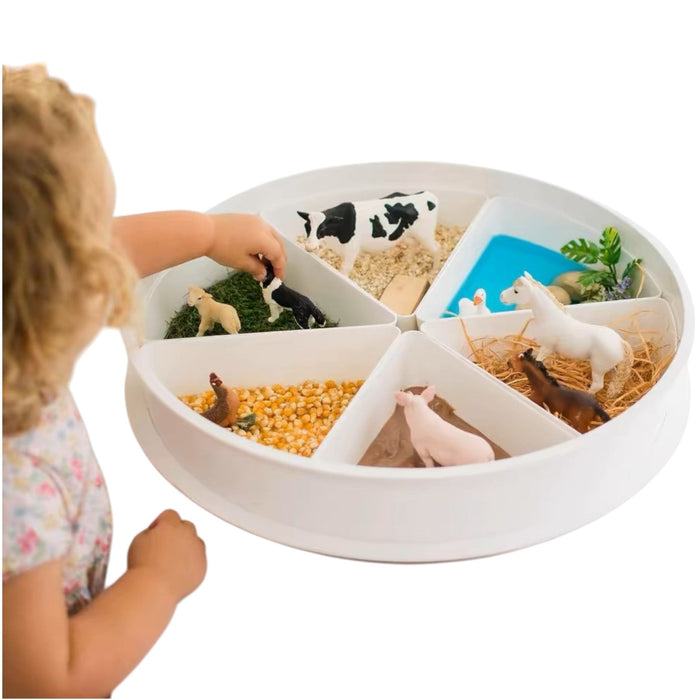 Sensory Play Tray with Removable Compartments and Lid