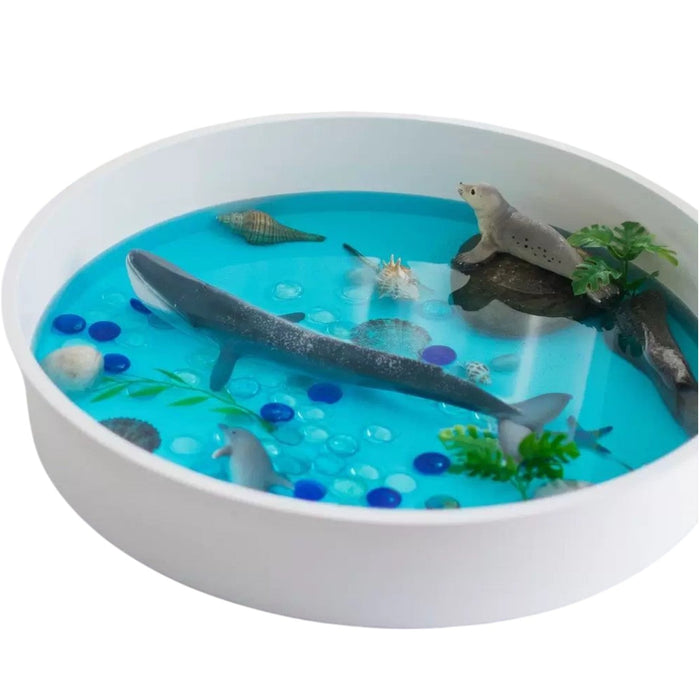 Sensory Play Tray with Removable Compartments and Lid