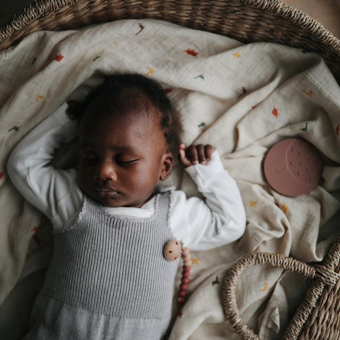 Organic Cotton Muslin Swaddle Blanket - Nature Baby Outfitter