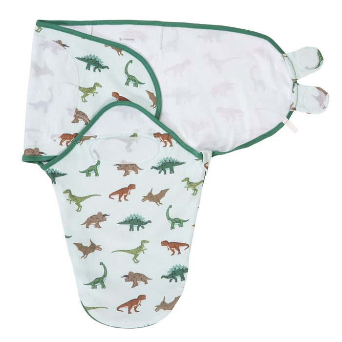 Have A T-rexcellent Day Swaddle Sack
