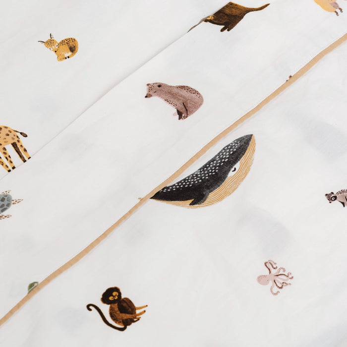 Wholesale 100% Cotton Sheet Set