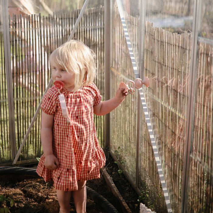 HexaPop Suction Toy - Nature Baby Outfitter