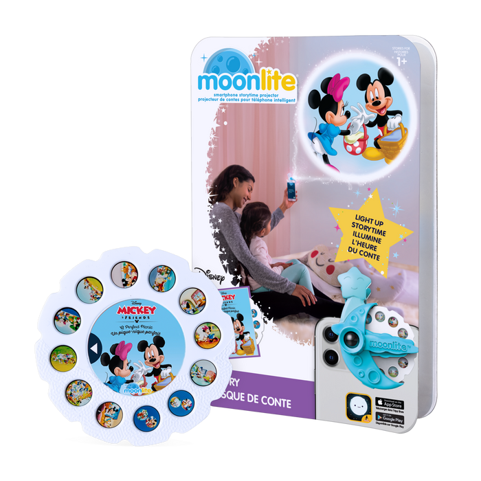 Disney Mickey & Friends: A Perfect Picnic